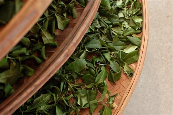 Ozempic Thanksgiving Guide: 7 Smart Food Choices to Avoid GI Discomfort